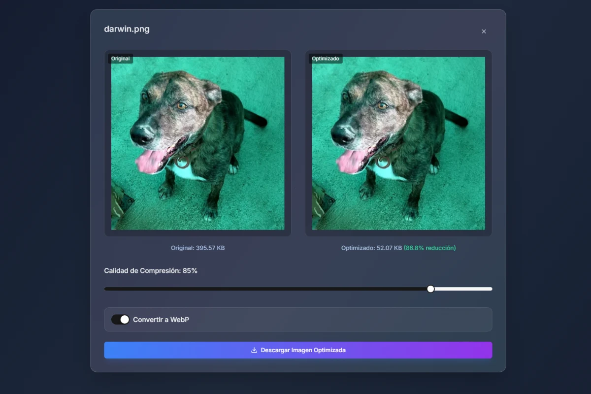 Resultado de imágenes convertidas a WebP en Compreso WebP