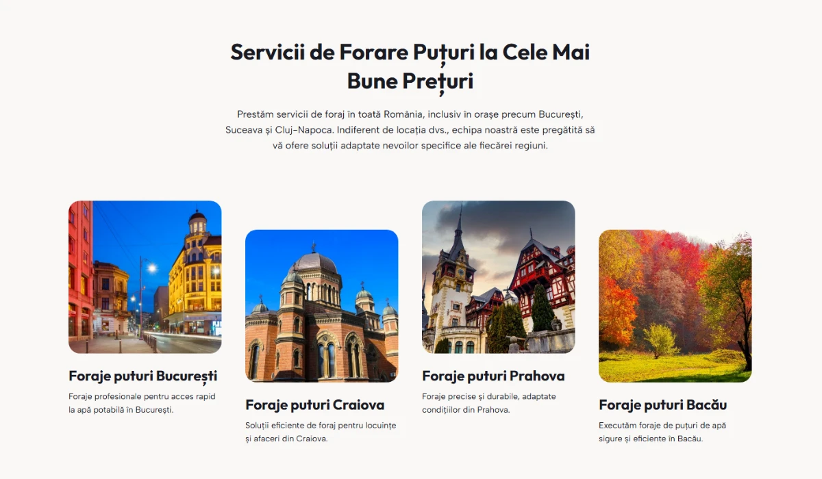 Web de Foraje Puțuri Pro Romania